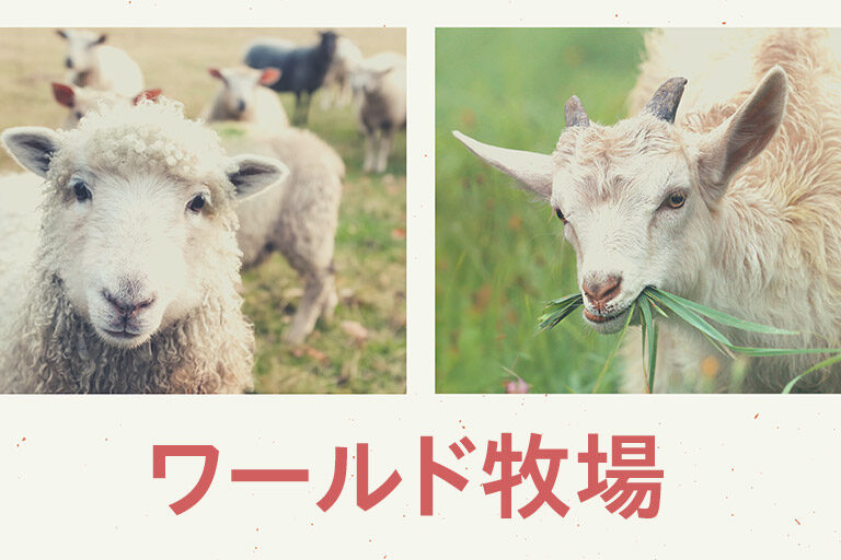 2021 夏季研修